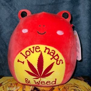 Custom Squishmallow